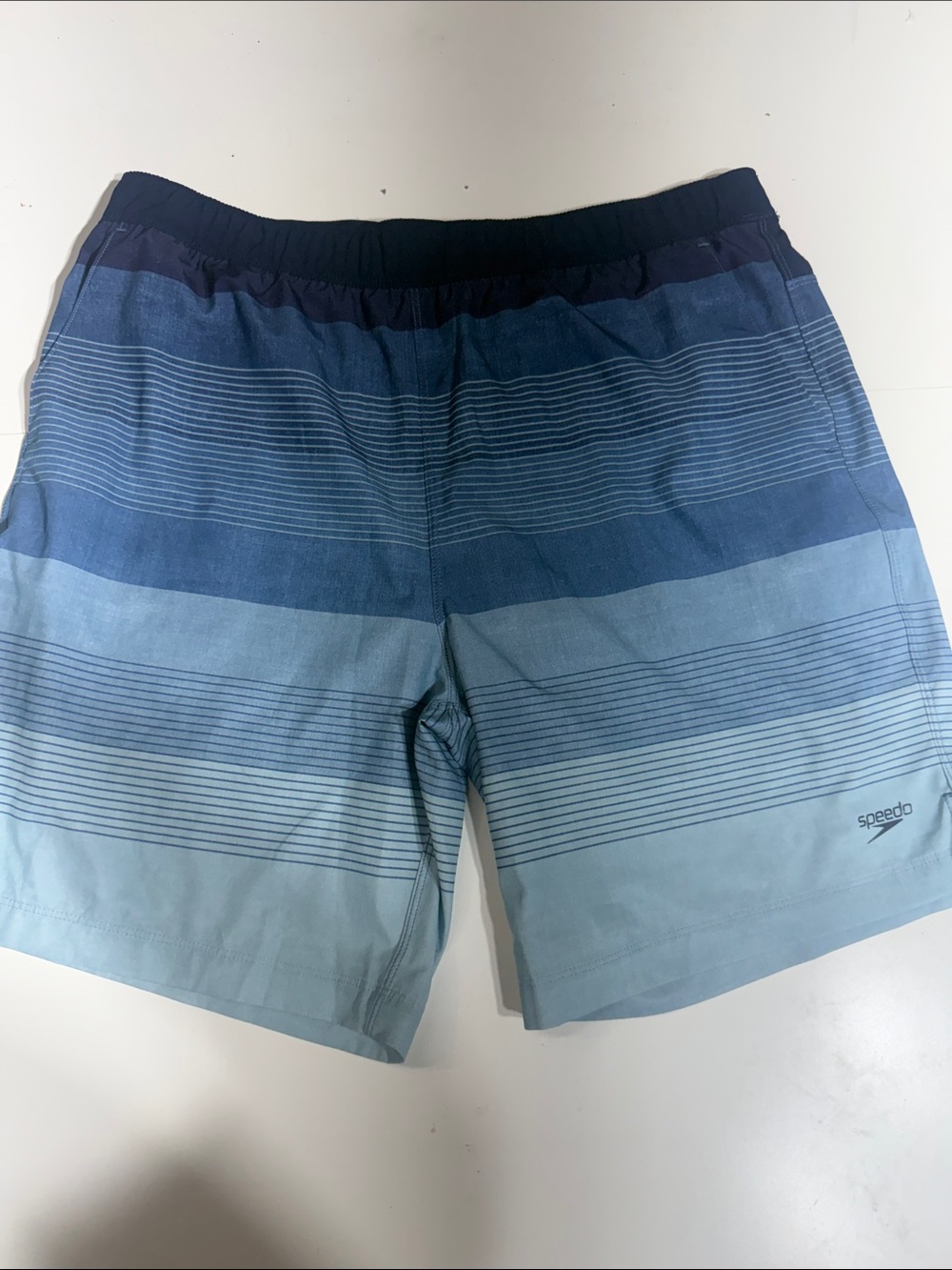 Speedo Men's Ombre Blue Striped Swim Trunks